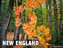 Photographs of New England by Laurent Martres